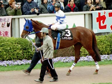 2002/02/17 東京09R