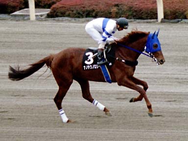 2002/02/17 東京09R