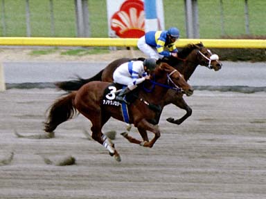 2002/02/17 東京09R
