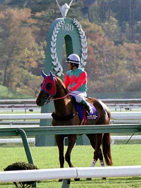2002/11/04 盛岡07R