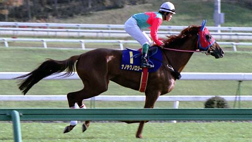 2002/11/04 盛岡07R