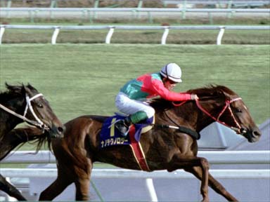 2002/11/04 盛岡07R