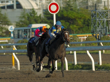 2006/10/25 D΄09R