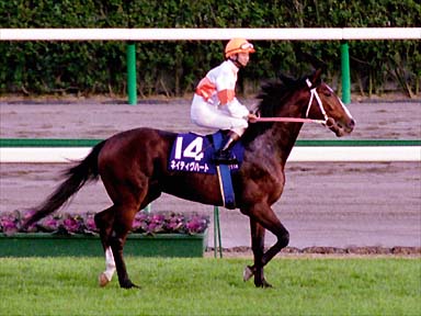 2000/12/10 ’†ŽR11R