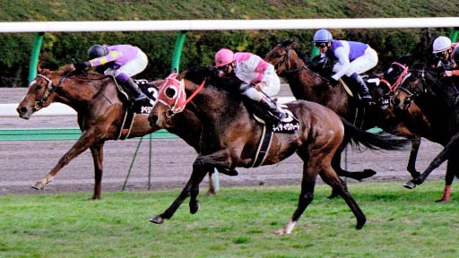2003/03/08 ’†ŽR11R