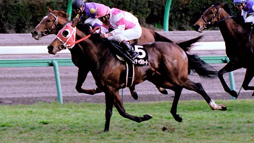 2003/03/08 ’†ŽR11R
