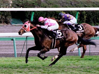 2003/03/08 ’†ŽR11R