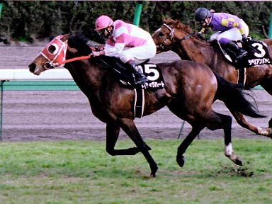 2003/03/08 ’†ŽR11R