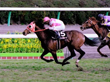 2003/03/08 ’†ŽR11R