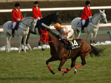 2005/03/05 ’†ŽR11R