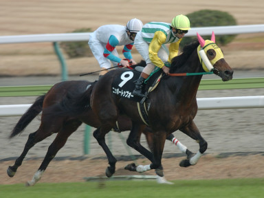 2004/12/12 中京10R