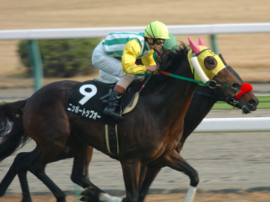 2004/12/12 中京10R