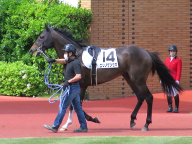 2021/05/09 新潟09R