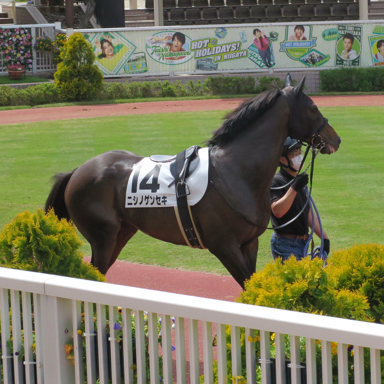 2021/05/09 新潟09R