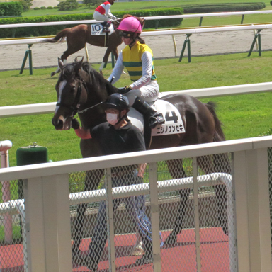 2021/05/09 新潟09R