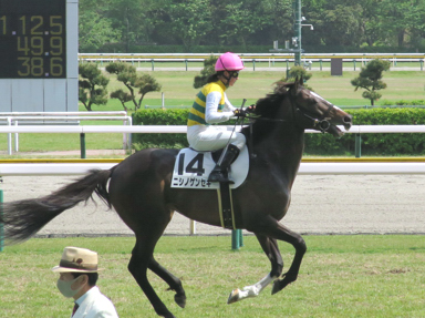 2021/05/09 新潟09R