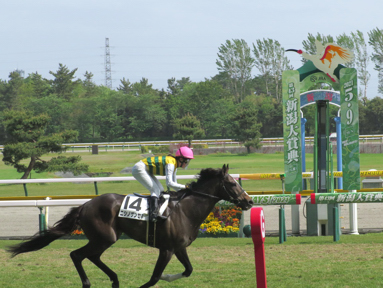 2021/05/09 新潟09R