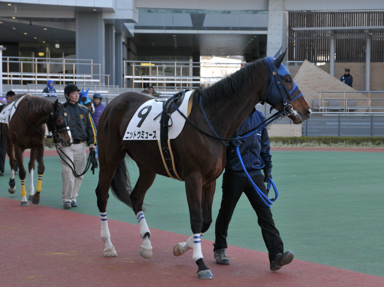 2014/01/09 中京07R