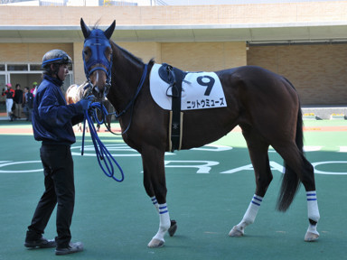 2014/01/09 中京07R