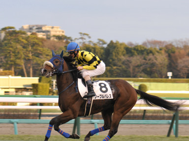 2022/01/10 中山12R