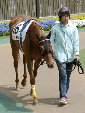 2004/05/02 東京07R