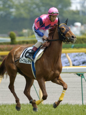 2004/05/02 東京07R