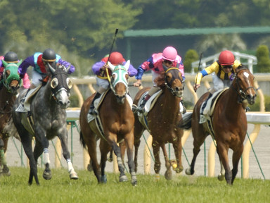 2004/05/02 東京07R