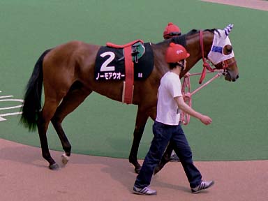 2003/05/24 東京09R