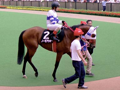 2003/05/24 東京09R