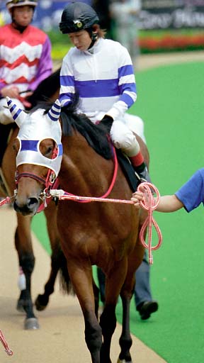 2003/05/24 東京09R
