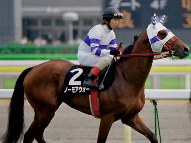 2003/05/24 東京09R