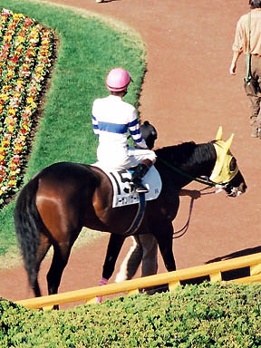 1997/10/11 東京12R