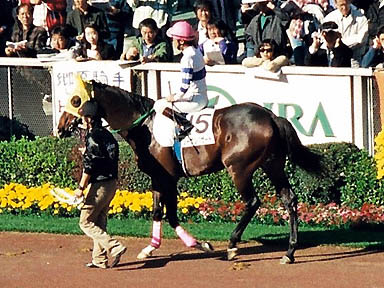 1997/10/11 東京12R