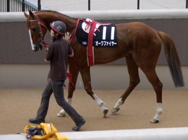 2004/06/12 東京10R