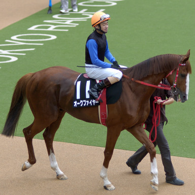 2004/06/12 東京10R