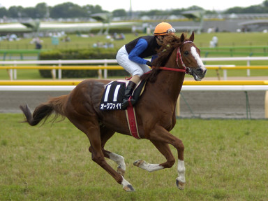 2004/06/12 東京10R