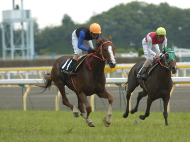 2004/06/12 東京10R