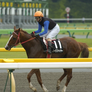 2004/06/12 東京10R