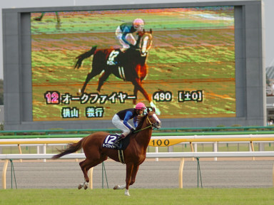 2004/10/24 東京11R