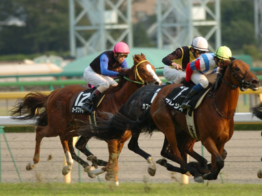 2004/10/24 東京11R