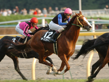 2004/10/24 東京11R