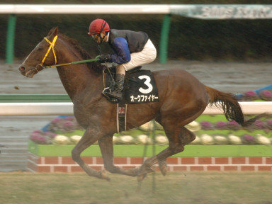 2005/01/16 中山10R