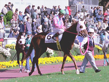 2000/11/11 東京05R