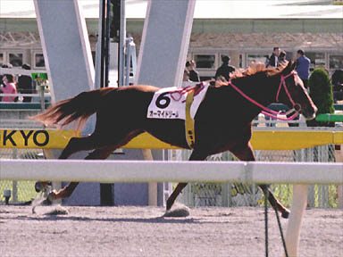 2000/11/11 東京05R
