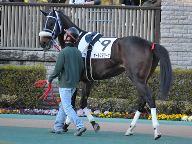 2020/02/01 東京12R