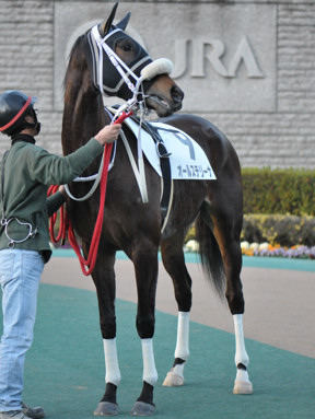 2020/02/01 東京12R