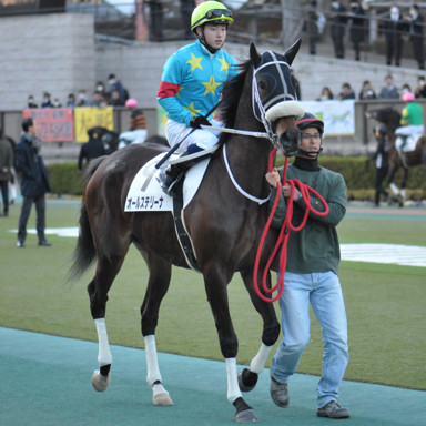 2020/02/01 東京12R