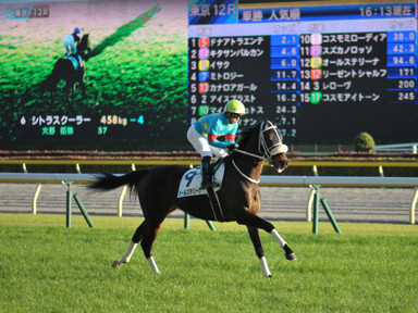 2020/02/01 東京12R