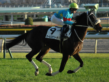2020/02/01 東京12R