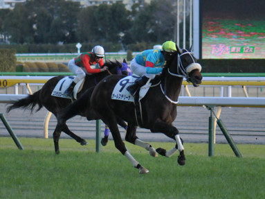 2020/02/01 東京12R